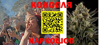 ALPHA-PVP Гатчина