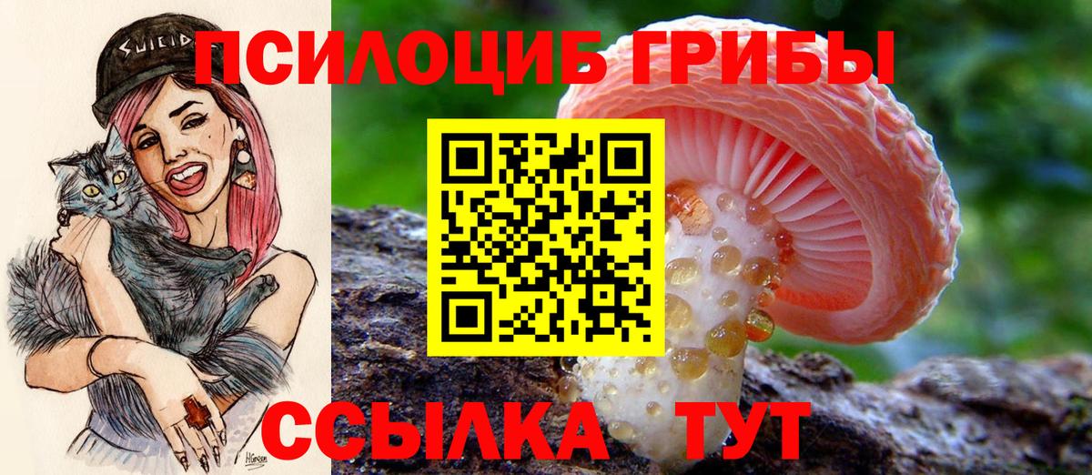 Малгобек  Галлюциногенные грибы Cubensis  Псилоцибиновые грибы ЛСД  Вход с VPN 