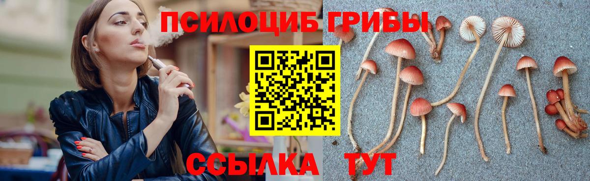 Псилоцибиновые грибы Psilocybine cubensis Малгобек